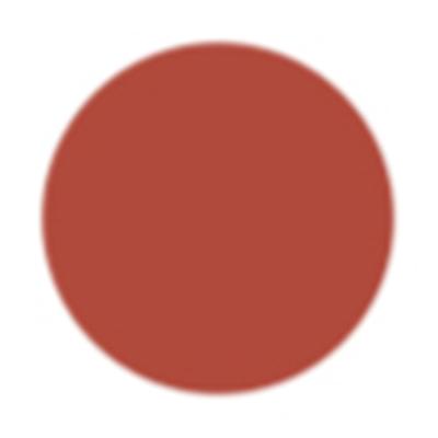 FAE Beauty Terracotta Buildable Matte Lipstick Shade Too Wild 3.5 gm - Lipsticks