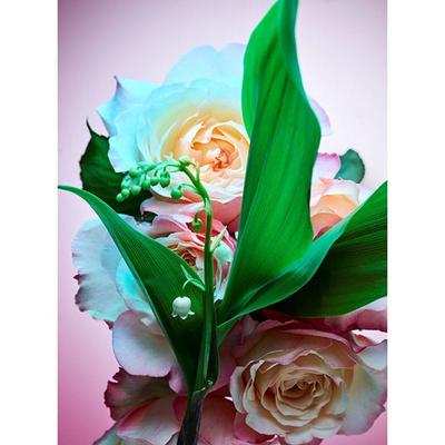 Bvlgari Rose Goldea Blossom Delight Eau de Parfum 30 ml - Perfumes (Edt/Edp)