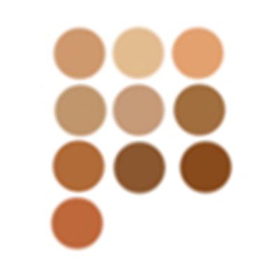 PAC Ultra Studio HD Powder Foundation X10 3.3gm - Foundation