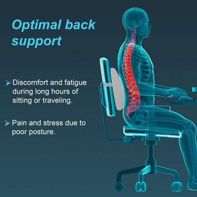 Tynor Lumbo Back Rest Urbane (UN) (I 92) - Back/Abdomen Supports