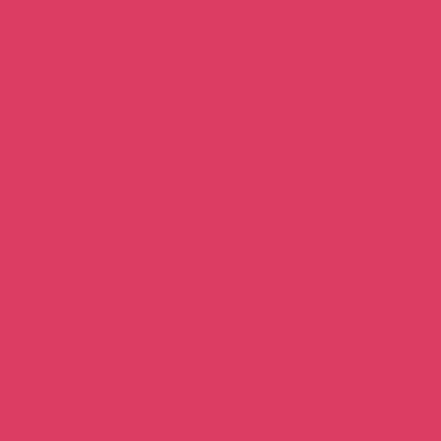 Renee Cosmetics Everyday Lip Balm 02 Rose Petal 4.5 gm - Lip Balms