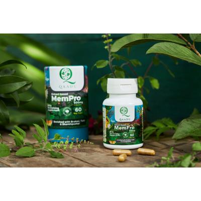 Qaadu Extract Based Mempro 500mg Capsule 60's - Speciality Medicines