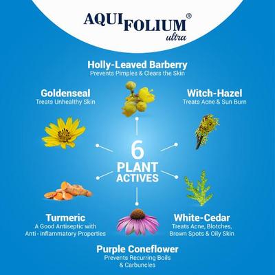 Medisynth Aquifolium Ultra Lotion 200 ml - Personal Care(Homeopathy)