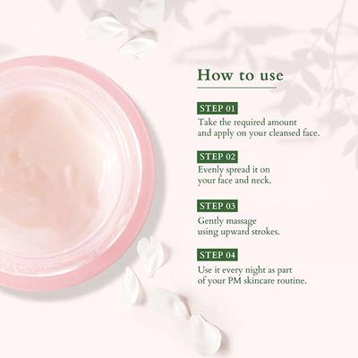 Lotus Organics Precious Brightening Night Creme 30 gm - Night Cream