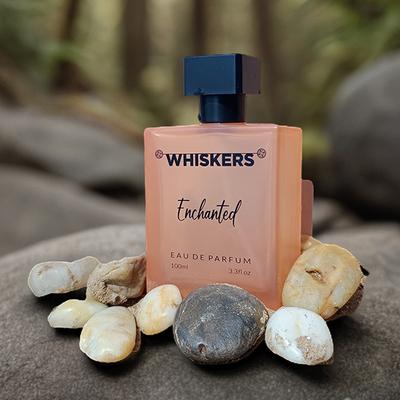 Whiskers Enchanted Eau De Parfum 100 ml - Perfumes (Edt/Edp)