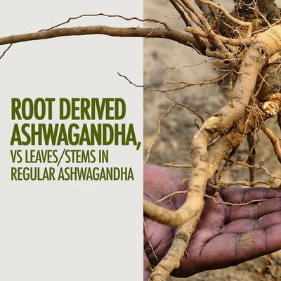 Kapiva Ayur Foods Ashwagandha Gold Capsules 60's - Ashwagandha
