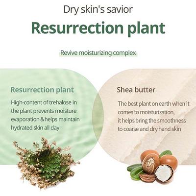 Milk Baobab Blooming Perfume Hand Cream White Soap 50 g - Lotions & Creams