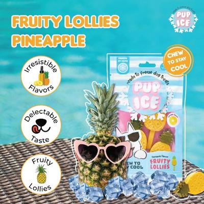 Pup Ice Fruity Lollies Pineapple 90 g - Petfood