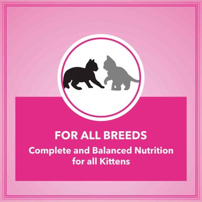 Let's Bite Active Kitten Cat Food Ocean Fish 400 gm (Buy 1 Get 1 Free) 800 gm - Petfood