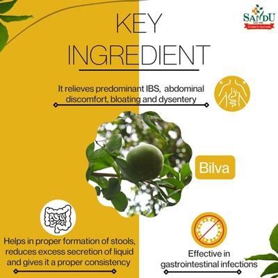 Sandu Bilagyl Lehya 250 gm - Speciality Medicines