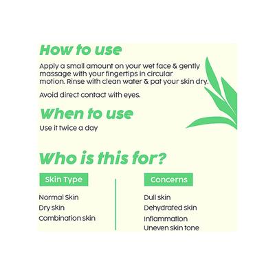 Plix The Plant Fixvitamin with Pro Vitamin B5 100ml - Face Wash & Cleansers