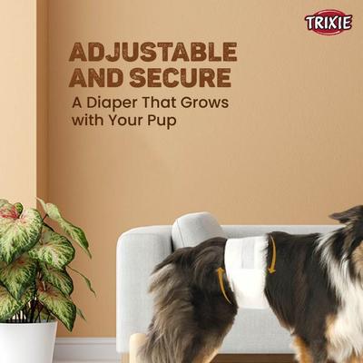 Trixie Diapers For Female Dogs L (38 to 56 cm) 12's - Pet accessories