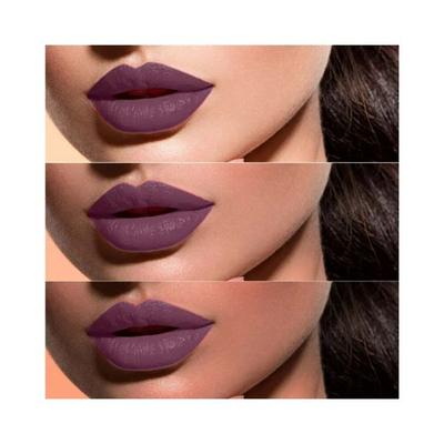 Lotus Makeup PROEDIT Liquid Matte LIP JEWEL Rose PLC05 8 gm - Liquid Lipsticks