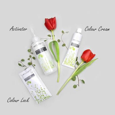 Naturigin Permanent Hair Colour Black 2.0 115 ml - Powder