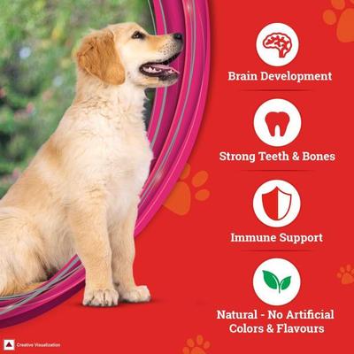 Nestle Purina Supercoat Puppy (Upto 12 Months) With Chicken Dog Food 2.5 kg - Petfood