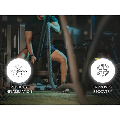 Seacod Cod Liver Oil Capsule 500's - Omega Fish Oil Fatty Acids