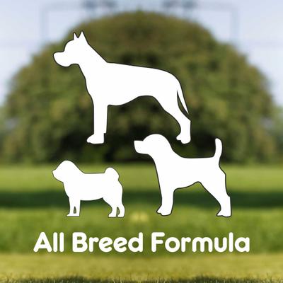 Purepet Pressed Chew Bones, Dog Treats, 6 inches - Pack of 4 Bones 360 gm - Petfood