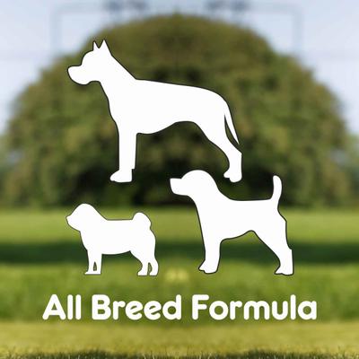 Purepet Pressed Chew Bones, Dog Treats, 4 inches - Pack of 4 Bones 160 gm - Petfood