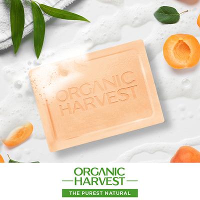 Organic Harvest Luxurious Bathing Bar - Apricot Scrub Soap Bar for Clear Skin, Scrub Soap Bar 125 gm - Soaps