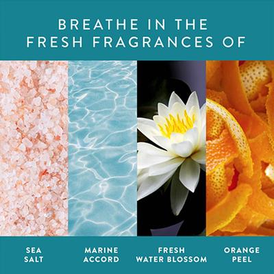 Find Your Happy Place Sunkissed Ocean Waves Souffle Body Butter Sea Salt & Water Blossom 200 gm - Body Butter