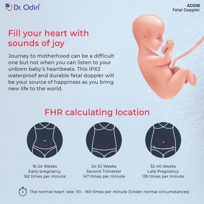 Dr. Odin Fetal Doppler (AD51B) with Ultrasound Gel 1's - Fetal Doppler