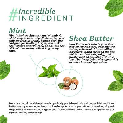 Atulya Mint Natural Lip Balm 5 gm - Lip Balms