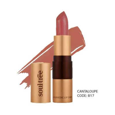 SoulTree Lipstick Cantaloupe 817 4 gm - Lipsticks