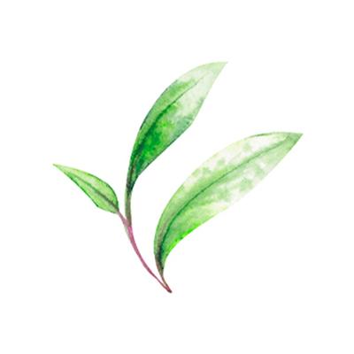 Brillare Professional Oil Away Power Drops, 100% Natural Face Serum with Tea Tree and Rosemary 15 ml - Face Serum