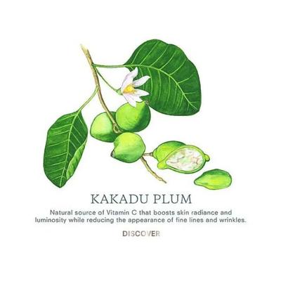 Kora Organics Noni Glow Sleeping Mask 100 ml - Masks & Peels