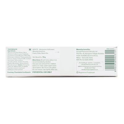 GLODENT Tooth Paste 70gm - Oral Care - P-Mou