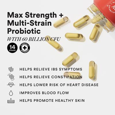 Wellbeing Nutrition Slow Daily Probiotics + Omega3 Clinically Proven 60 Billion CFU, 14 Unique Strains - Digestive Health