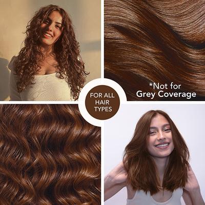 Paradyes Semi Permanent Espresso Brown Glossy Hair Tint Enriched with Herbal Extracts 160g - Crème