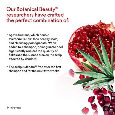 Yves Rocher Anti-Dandruff Treatment Shampoo 300 ml - Shampoos