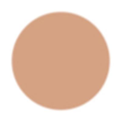 PAC Take Cover Concealer Buildable Coverage Creamy Blends Seamlessly - 07 Skin Tanned 6.8 g - Concealer