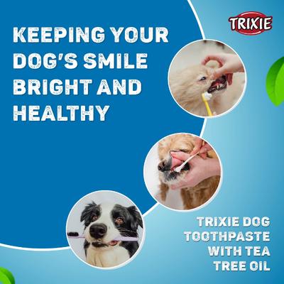 Trixie Dog Toothpaste with Tea Tree Oil 100 gm - Pet Grooming