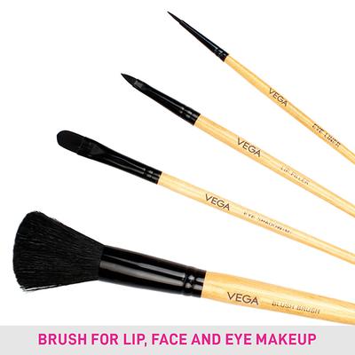 Vega Set Of 4 Brushes (EVS - 04) 35 gm - Face Brush