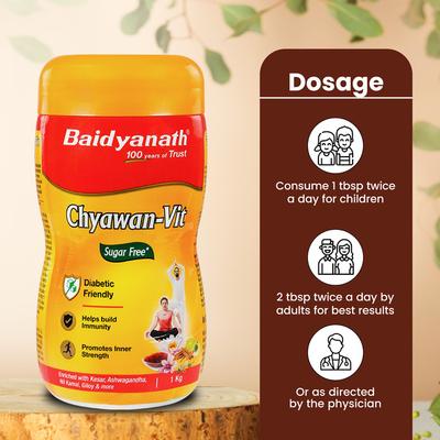 Baidyanath Chyawan Vit Sugar Free 1 kg - Chyawanprash