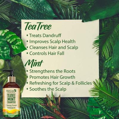 WishCare Tea Tree Mint Shampoo - Anti Dandruff Shampoo - Cleansing Formula 300 ml - Shampoos