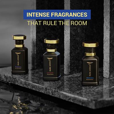 Park Avenue Eau De Perfum - Harmony 100 ml - Perfumes (Edt/Edp)
