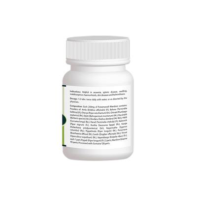 Pravek Punarnawadi Mandoor (A.F.I) Tablets 40's - Speciality Medicines