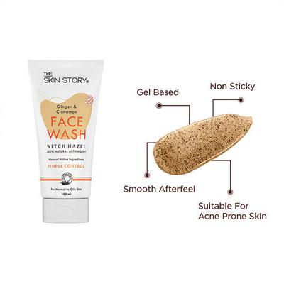 The Skin Story Facewash - Ginger & Cinnamon 100 Ml - Face Wash & Cleansers