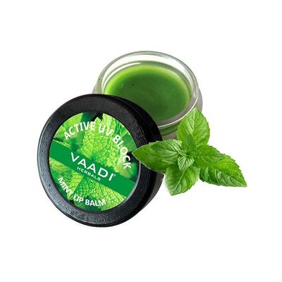 Lip Balm - Mint 10 gm - Lip Balms