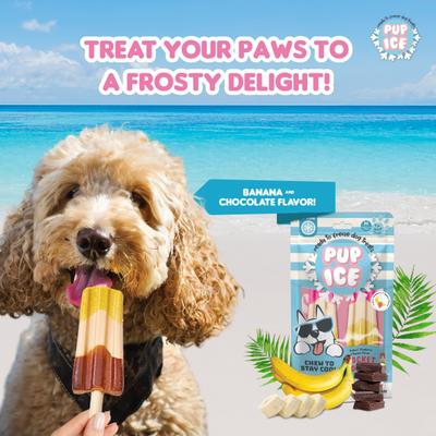 Pup Ice Rocket Lollies Banana & Chocolate Flavour 2's - Petfood