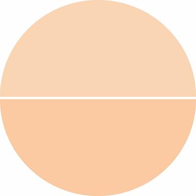 Matt Look Cc Conceal N Cover Oil - Free SPF - 15, Light 47.5 gm - Foundation