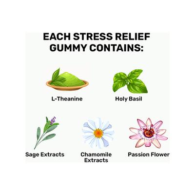 What's Up Wellness Stress Relief Gummies 30's - Others