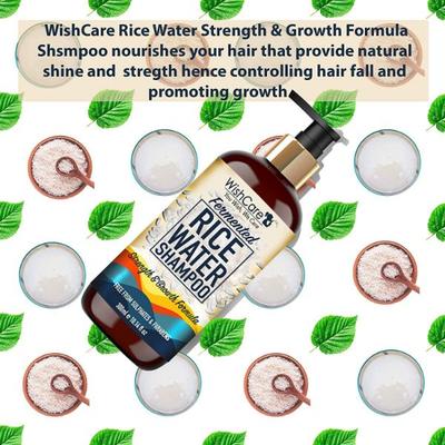 WishCare Fermented Rice Water Shampoo For Dry & Frizzy Hair - Paraben And Sulphate Free Shampoo 300 ml - Shampoos