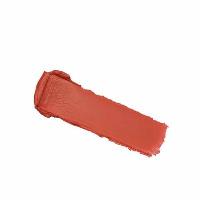 Colorbar Sinful Matte Lipstick Mml003 3.5 Gm - Lipsticks