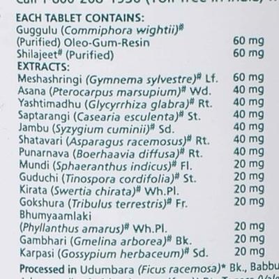 HIMALAYA DIABECON DS TABLET 60'S - Ayurvedic Medicine-AYU