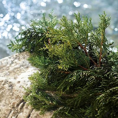 Dolce&Gabbana Light Blue Summer Vibes Pour Homme Edt Limited Edition 125 ml - Men Perfumes (Edt/Edp)