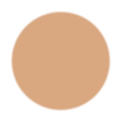 PAC Take Cover Concealer 03 Butterscotch 6.8 gm - Concealer